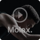 Molex视频